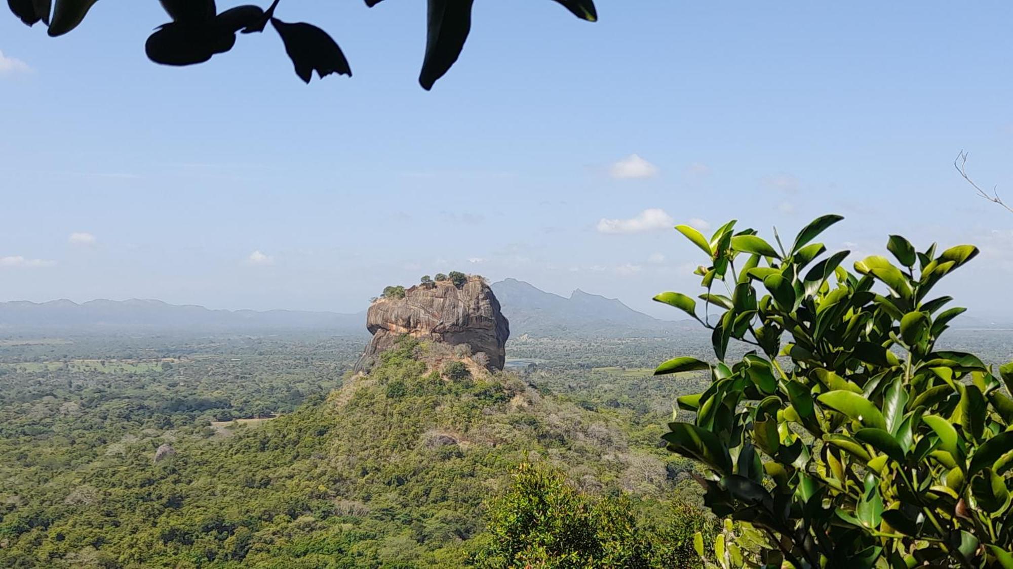 Wild View Stay Habarana Dış mekan fotoğraf